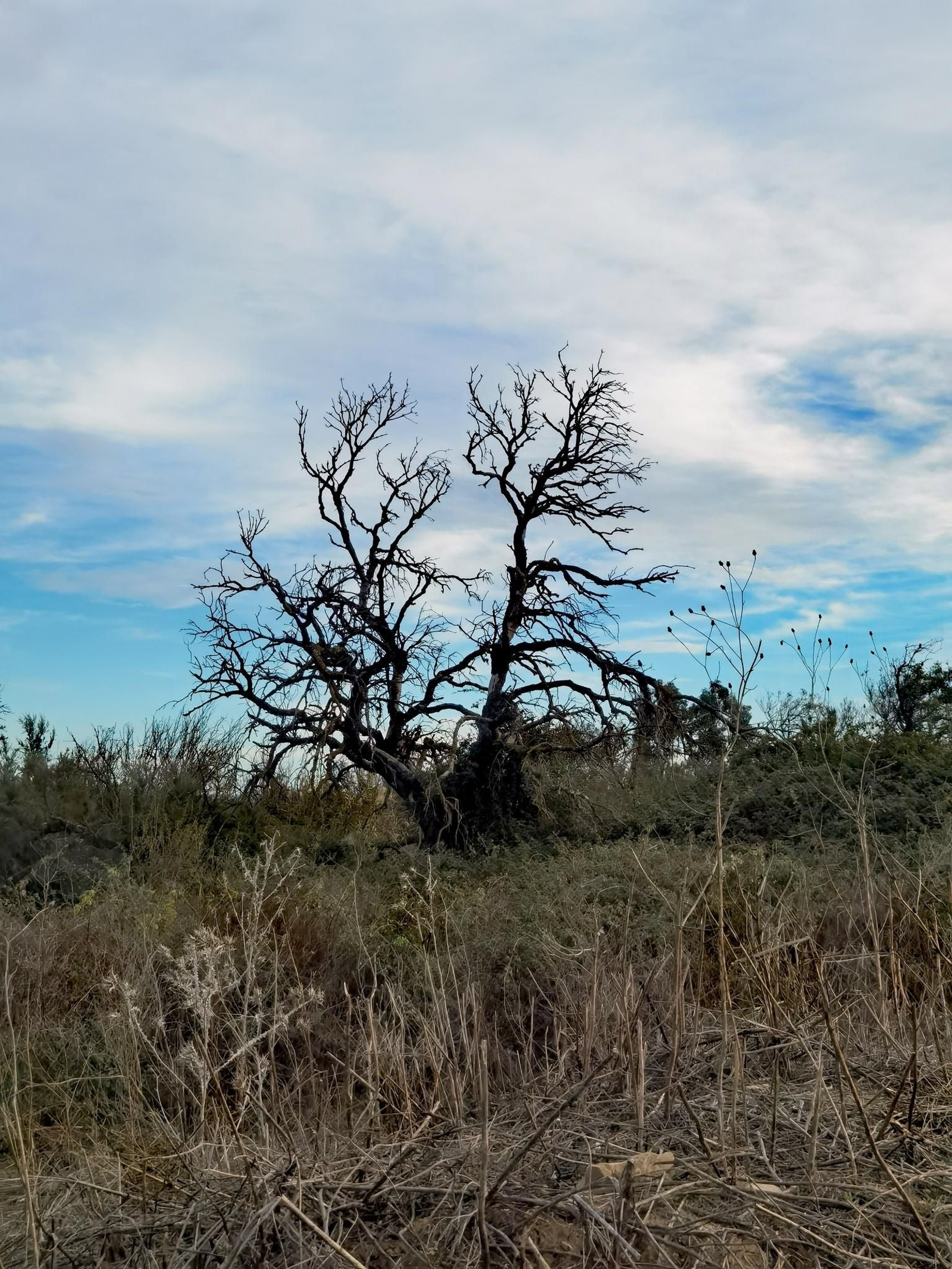 Camino de la Isla H