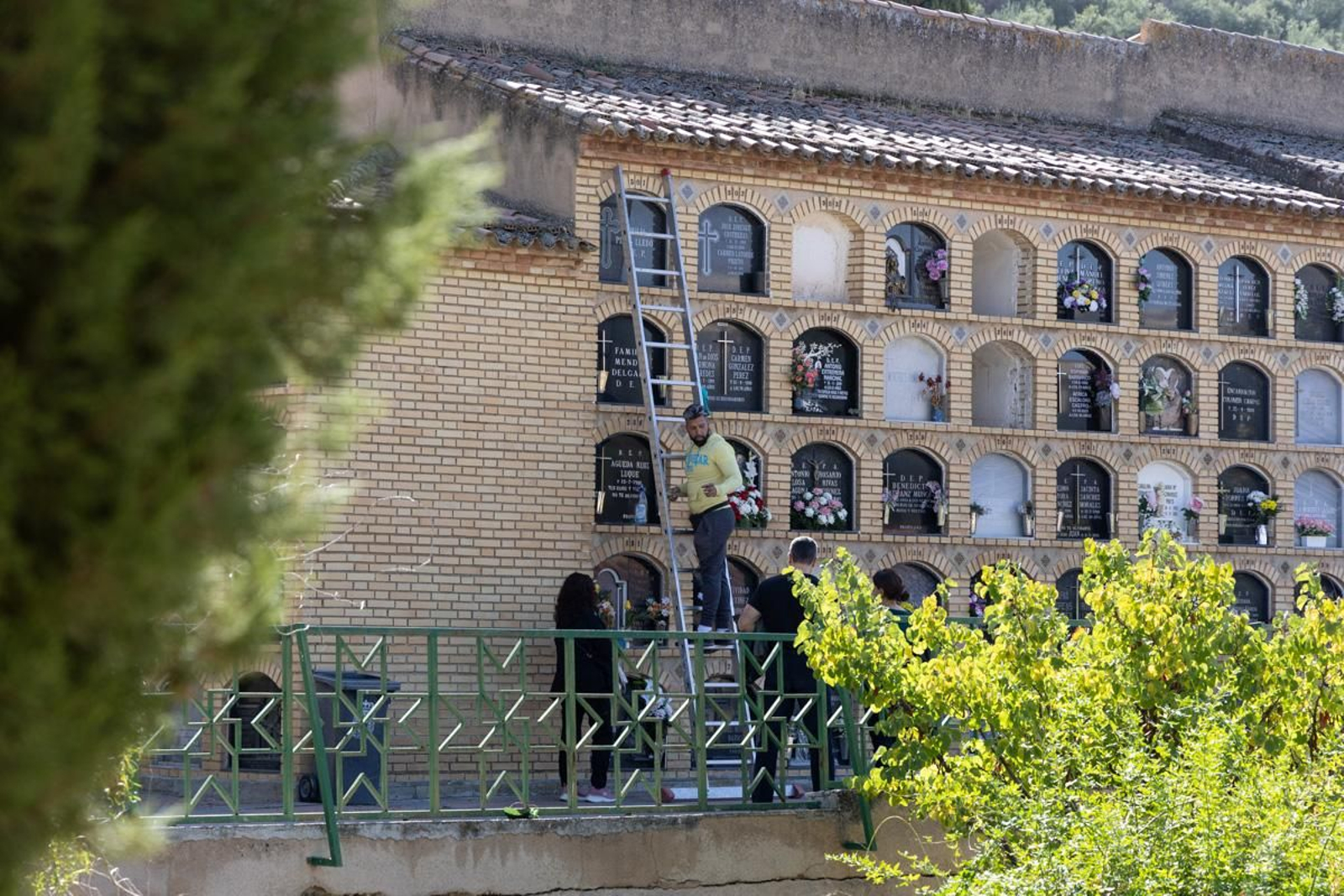 Día de Los Santos en el cementerio de San Fernando y San Eufrasio de Jaén, en imágenes