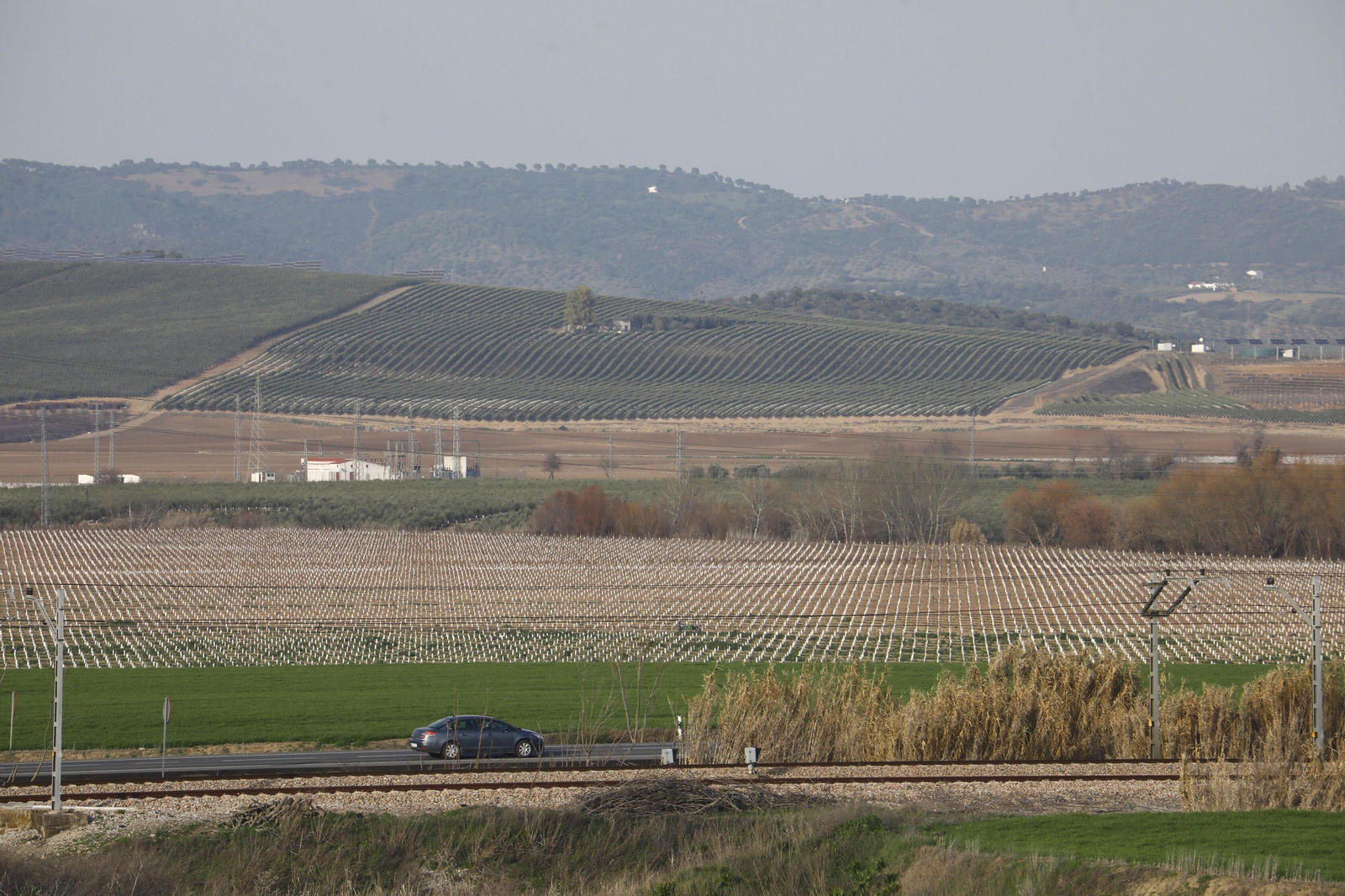 Terrenos de La Rinconada.