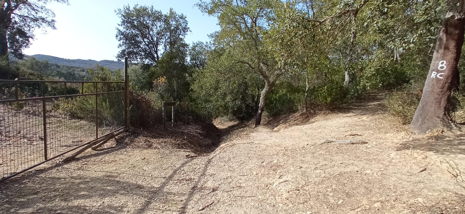 Las imágenes de la ruta de la Dehesa de Valdelama: De Los Marines a Fuenteheridos y vuelta