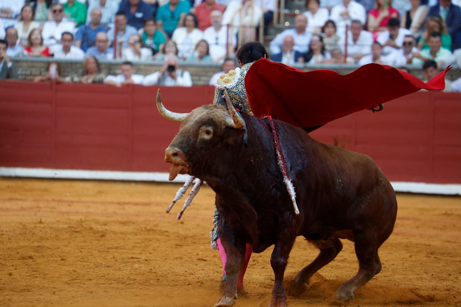 Manuel Román, Juan Ortega y Roca Rey, en la plaza de toros de Córdoba