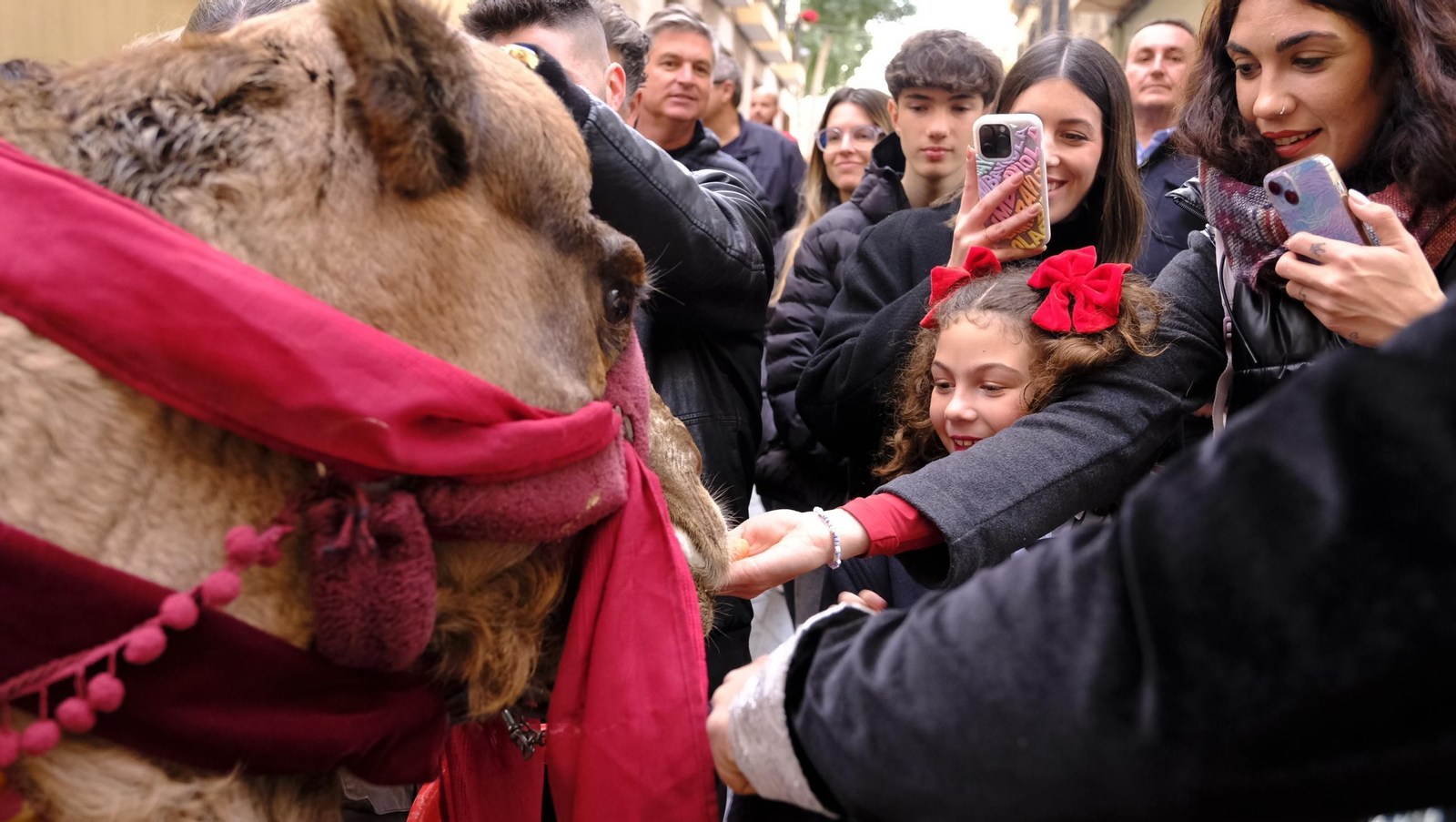 La Cabalgata de Reyes Magos de Almería, en imágenes