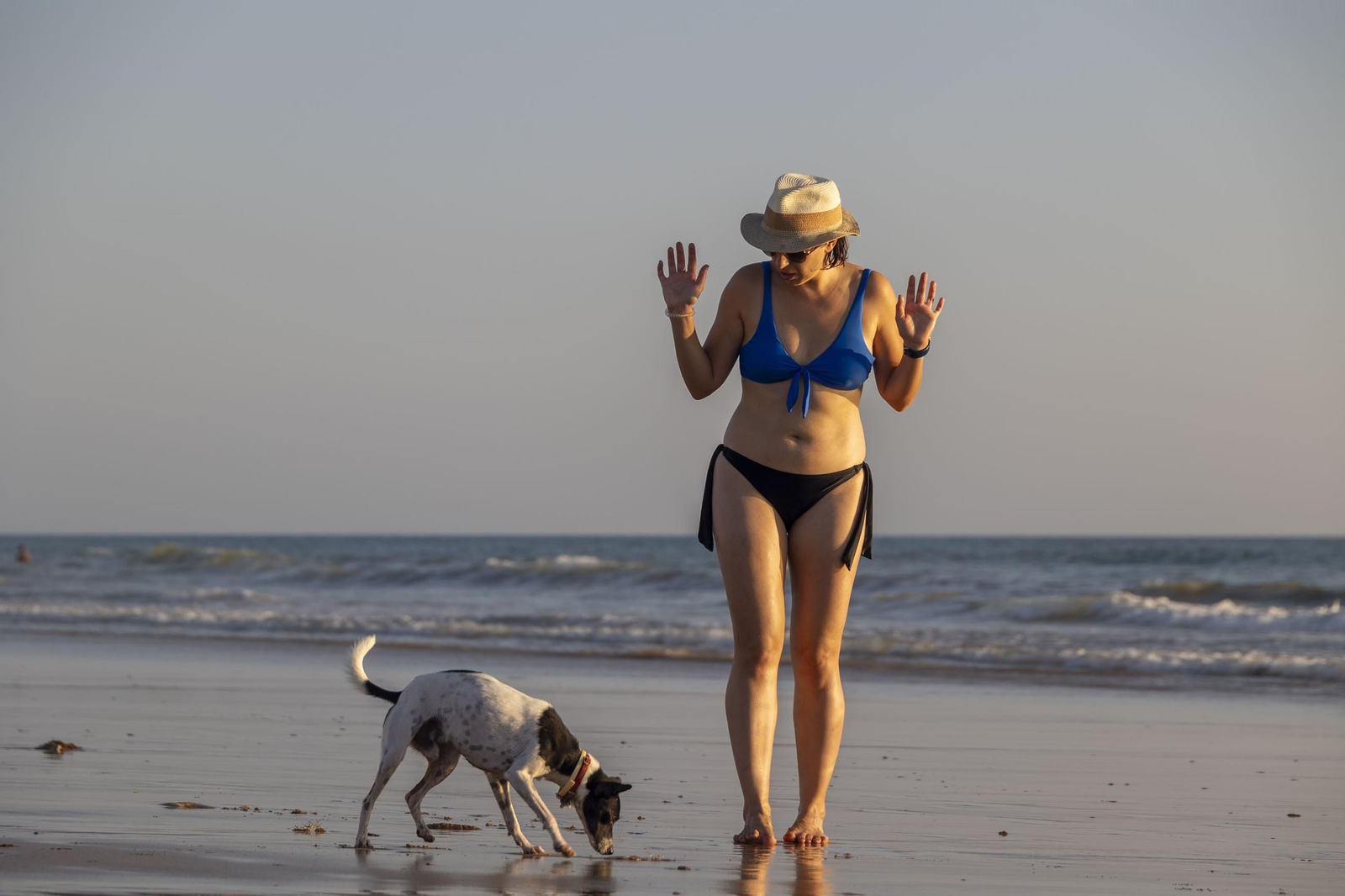En la playa canina los perros son los que mandan. En la playa canina los perros son los que mandan.