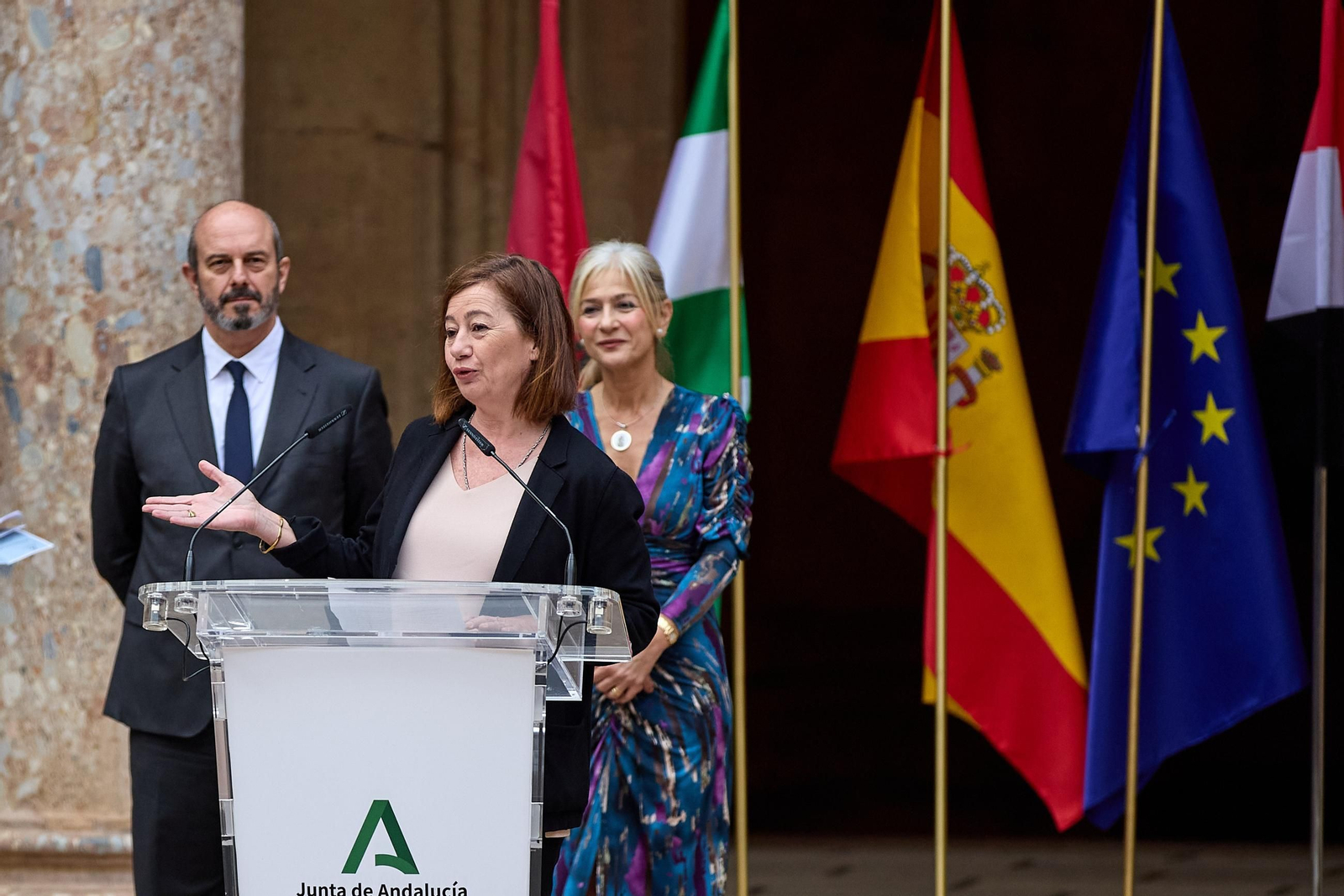 Todas las imágenes de la plantación del jardín de la paz en la Alhambra de Granada