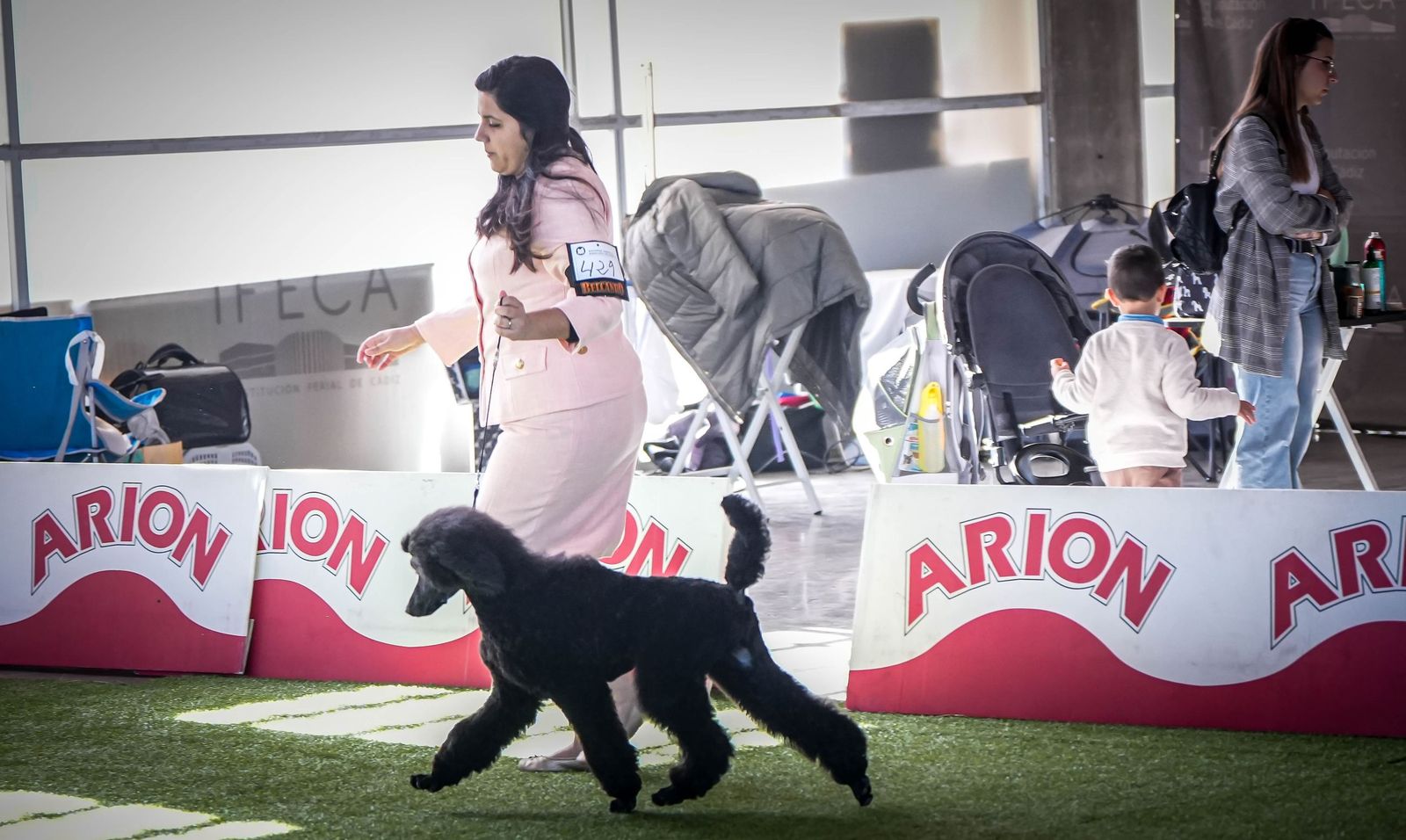 Espectacular exposición canina en Ifeca Jerez, en imágenes