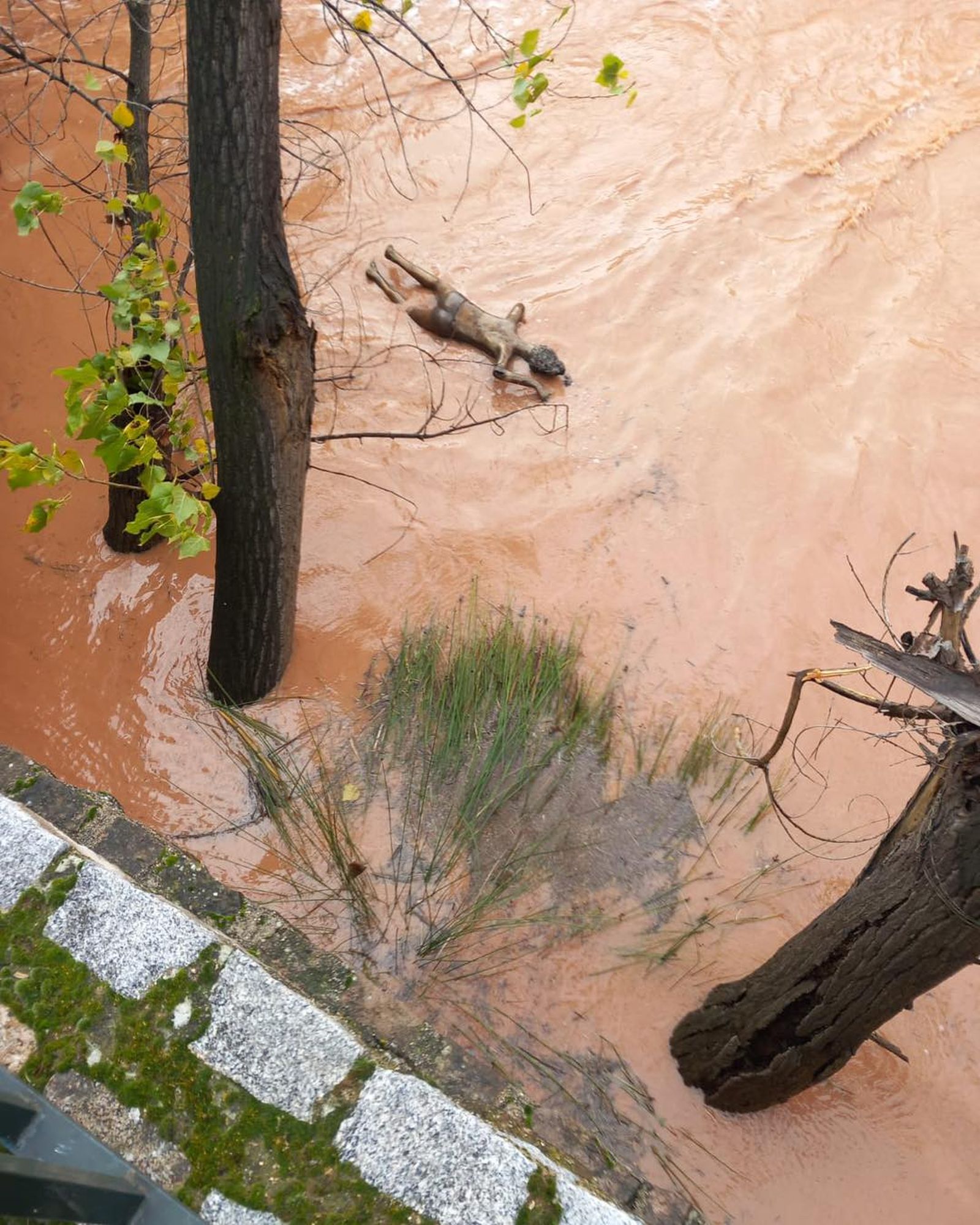 Río Guadalimar en Puente de Génave