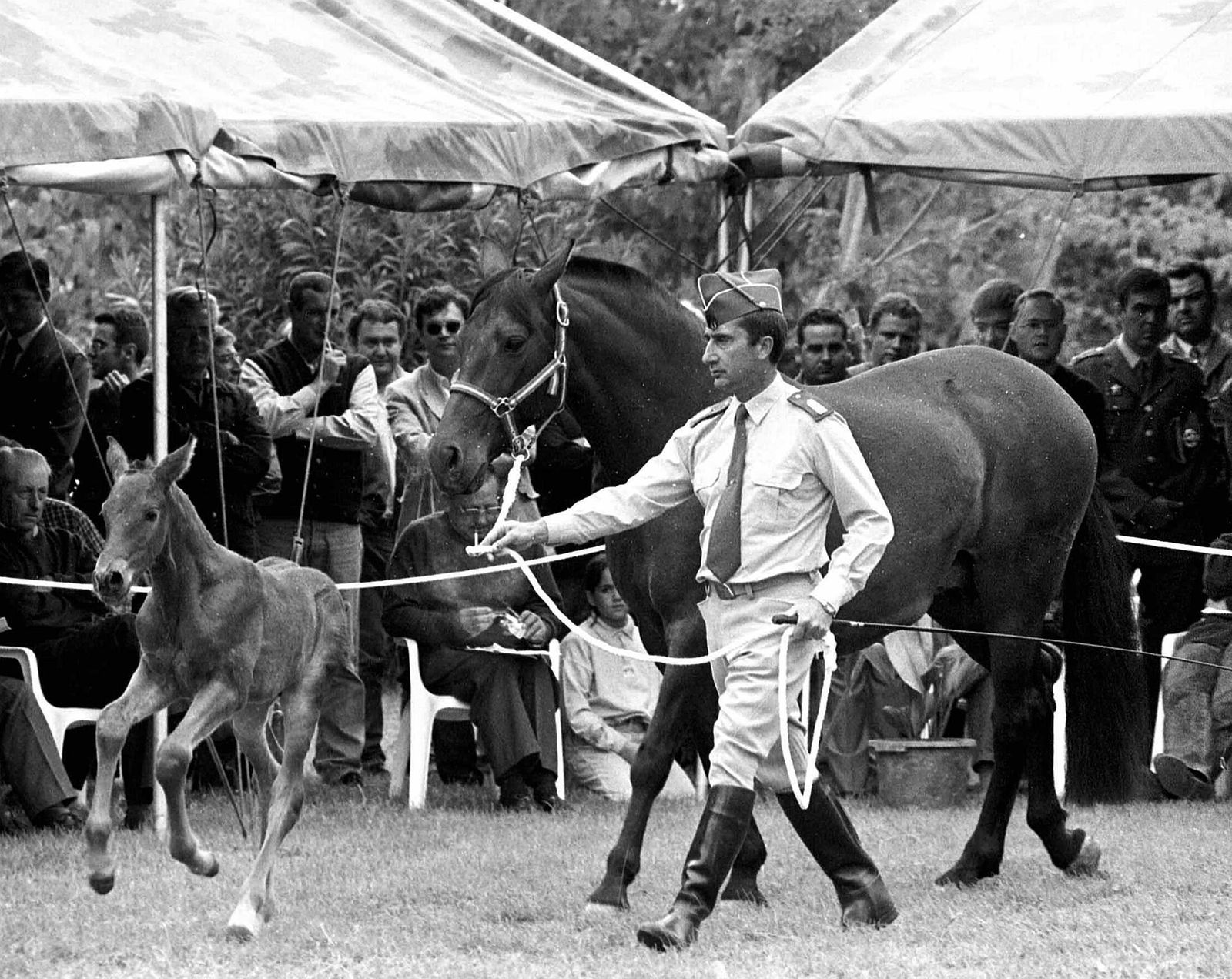 Rafael Iglesias: fotografías de una época