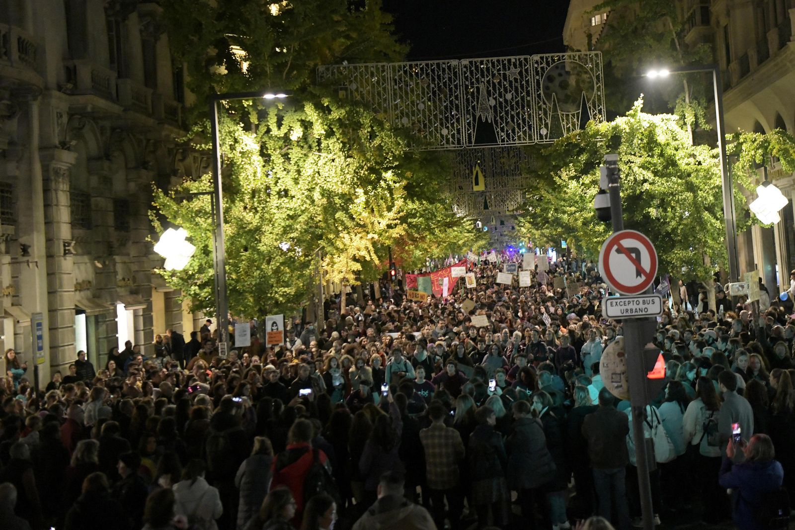 La manifestación del 25-N en Granada, en imágenes