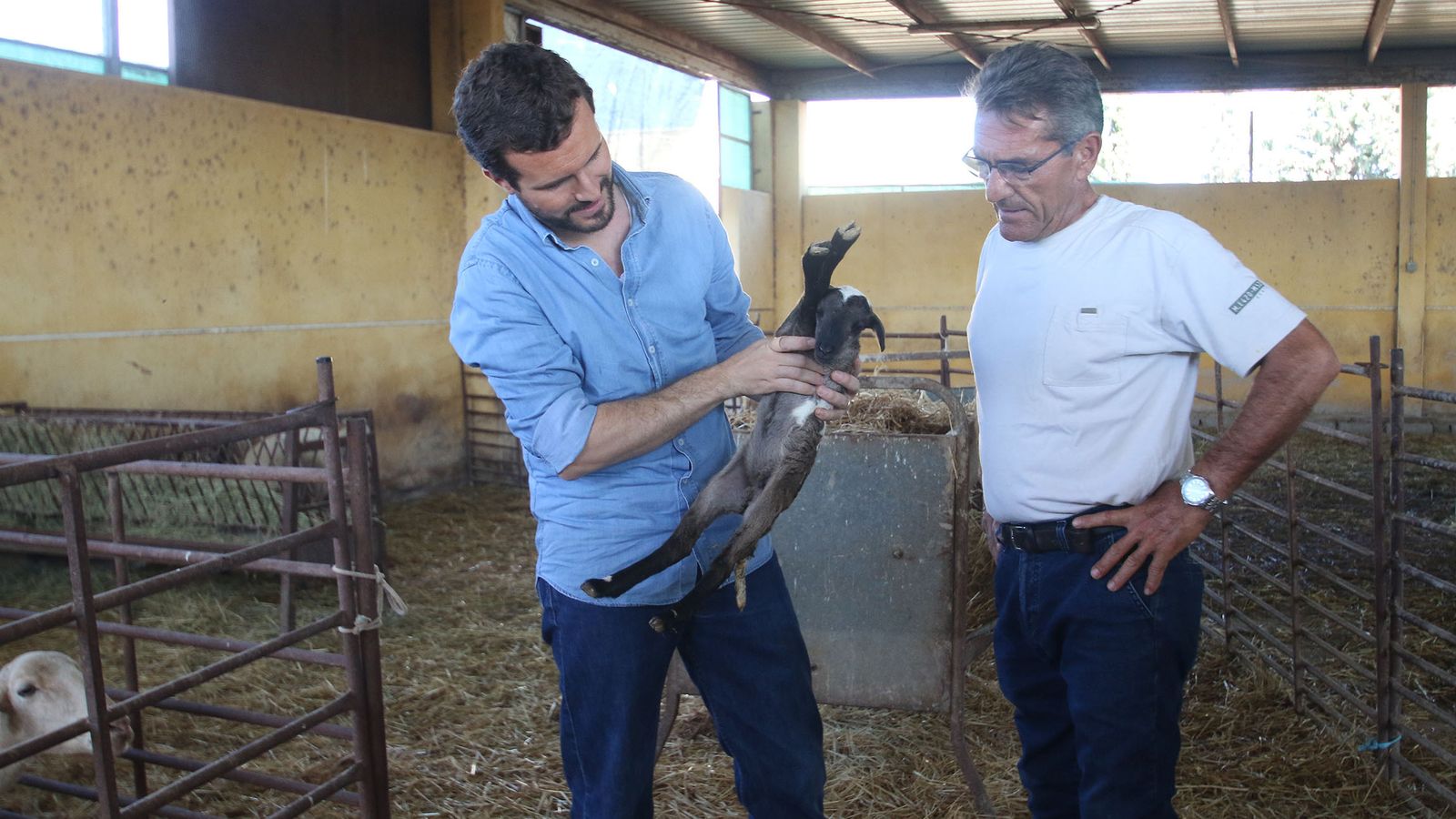 Pablo Casado visitó ayer con buena parte de la plana mayor del PPde Almería una de las explotaciones ganaderas afectadas por la gota fría.