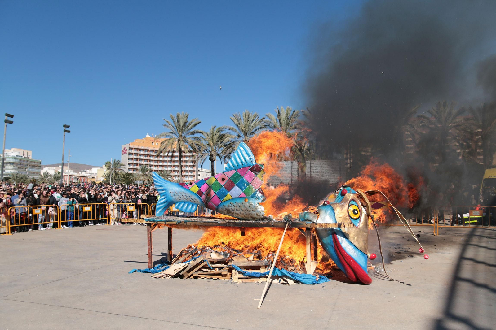 Las imágenes del Entierro de la Sardina de Almería