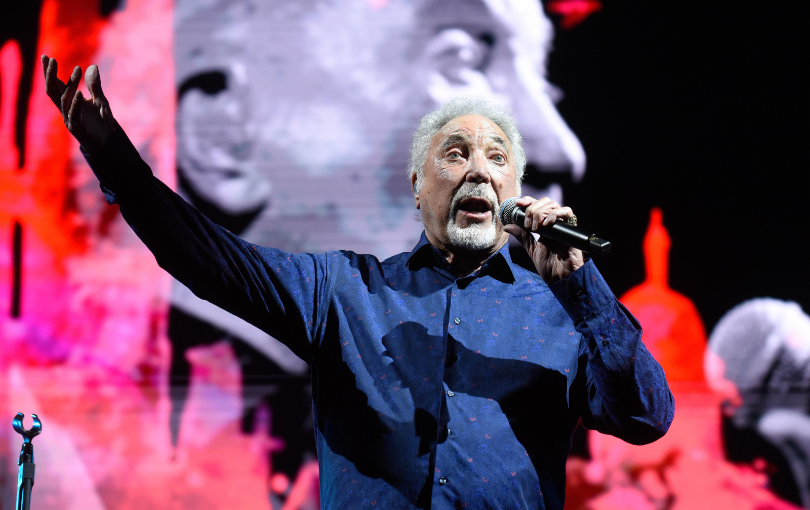 Concierto de Tom Jones