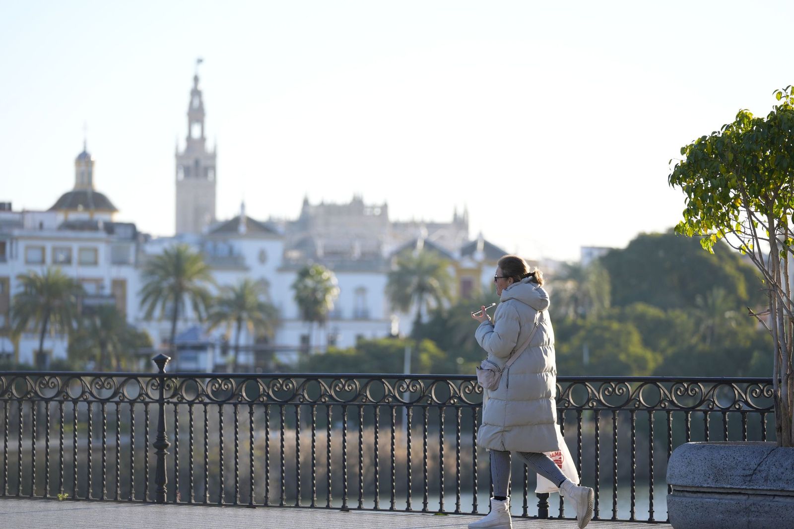 Un día de frío en Sevilla