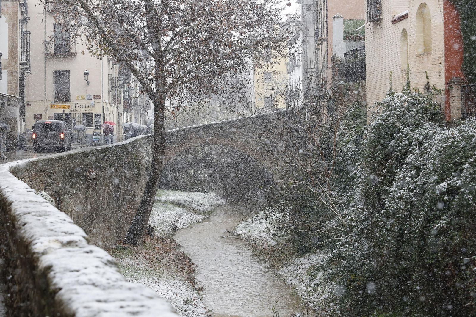 La nevada de Granada, en imágenes