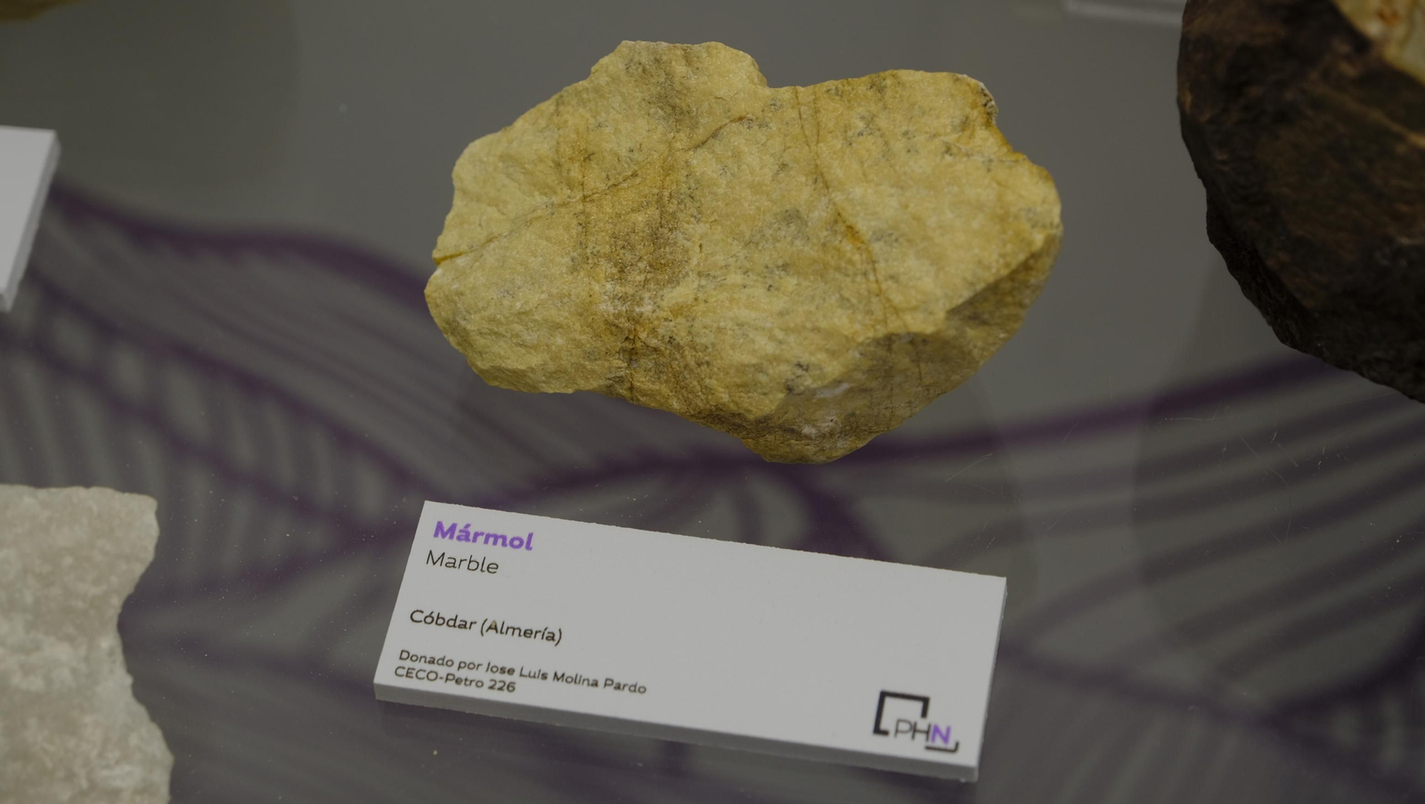 Descubre en estas fotos las maravillas que esconde el Pabellón de Historia Natural de la UAL