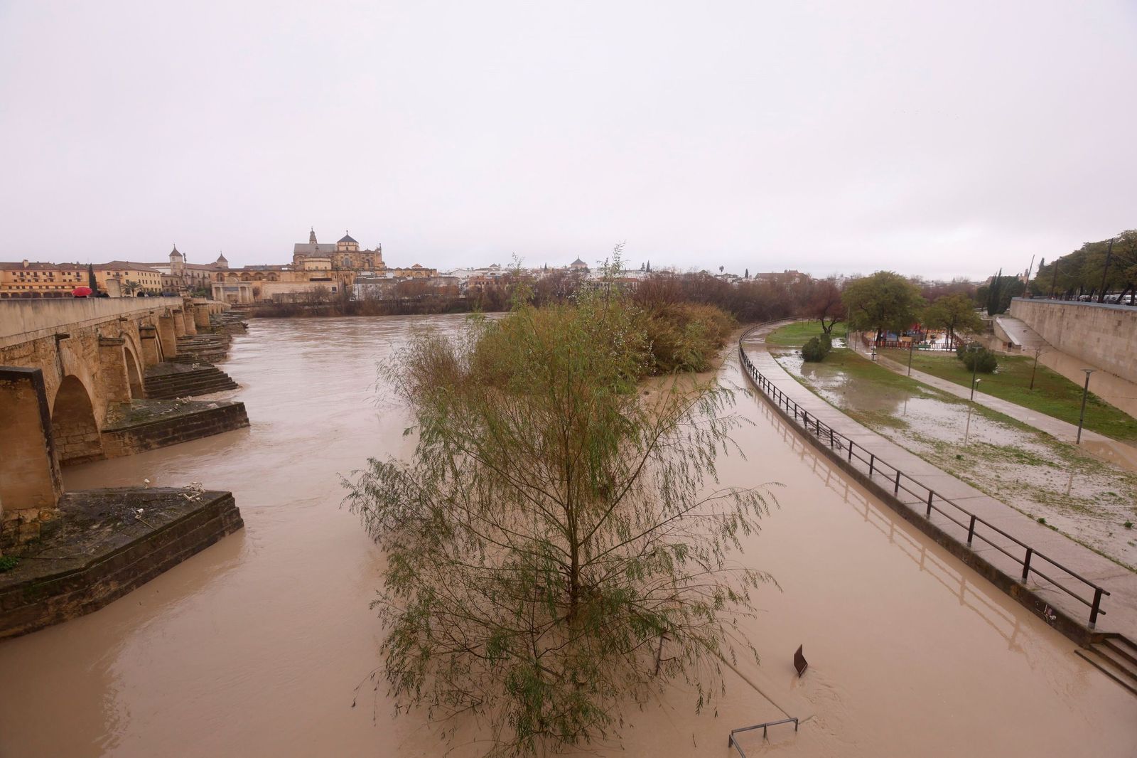 Así pasa el río Guadalquivir este lunes por Córdoba