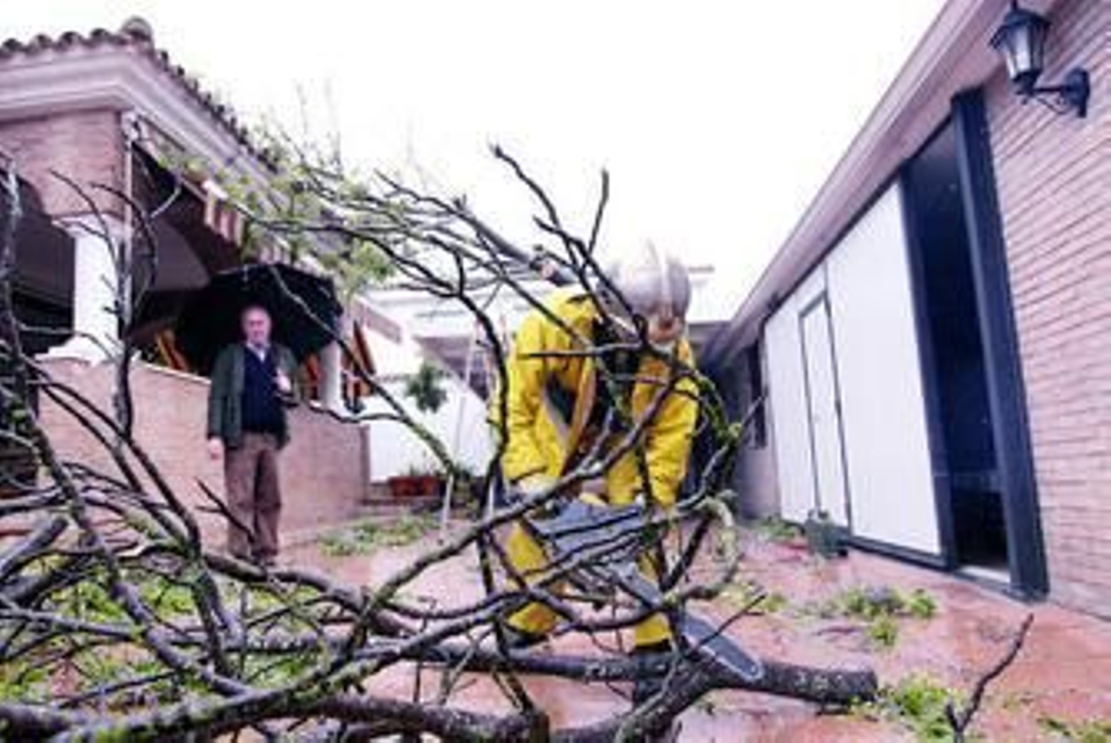 Un bombero corta la rama de un árbol caído en la calle, ayer en Chiclana.