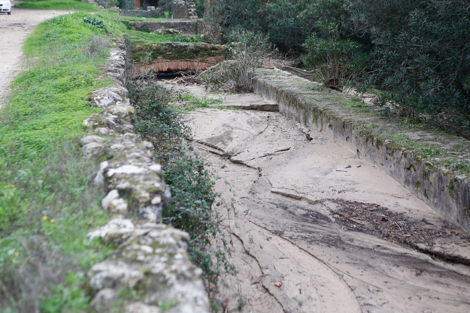Fotos de las consecuencias de la borrasca Francis en Tesorillo y Jimena