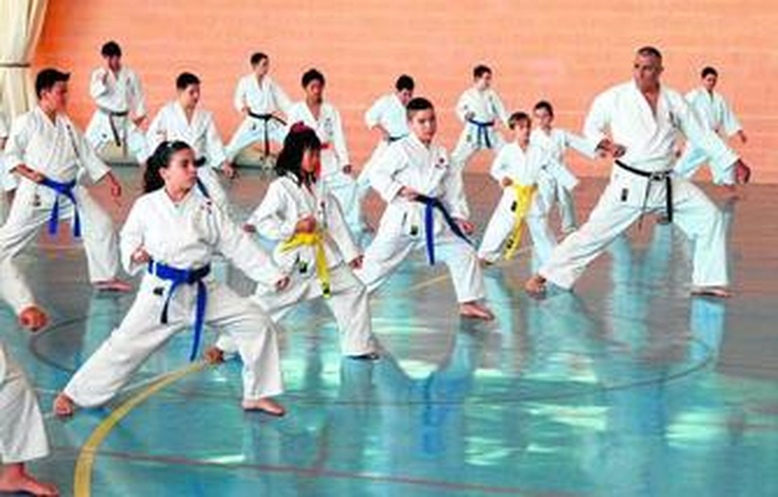 Imagen del curso celebrado en el pabellón Huerta Rosario.