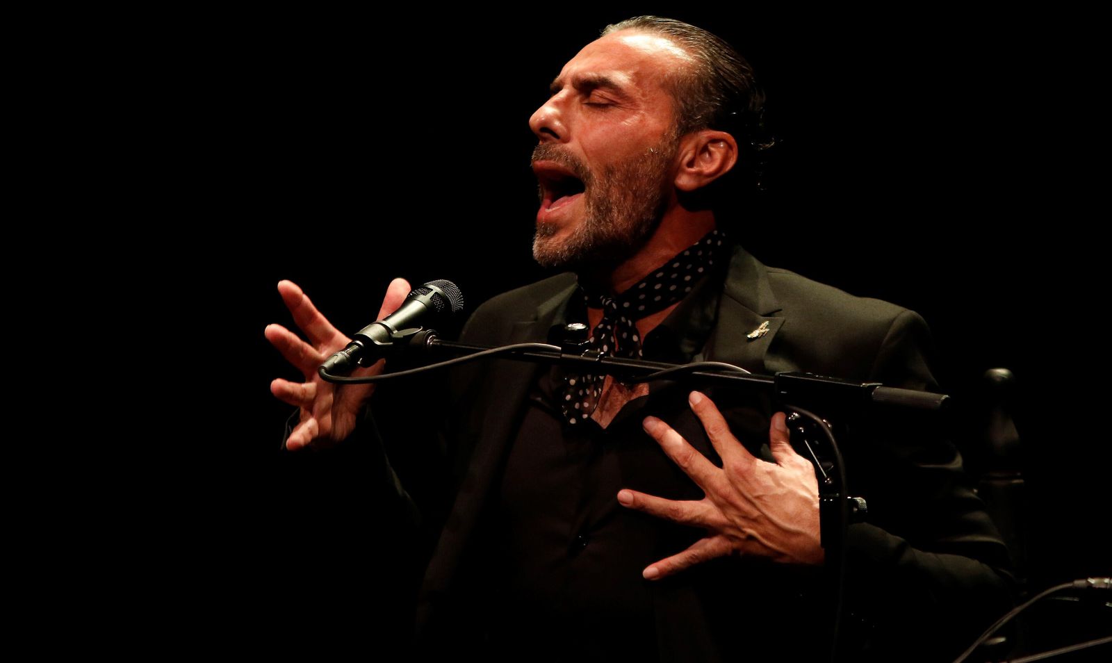 Pedro El Granaíno, durante una actuación.