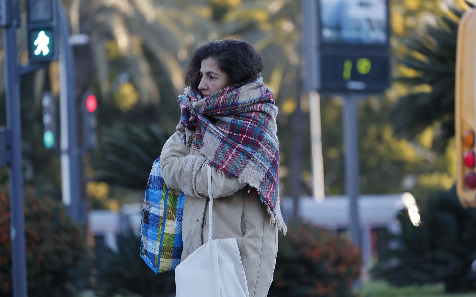 Las fotos del frío en Sevilla