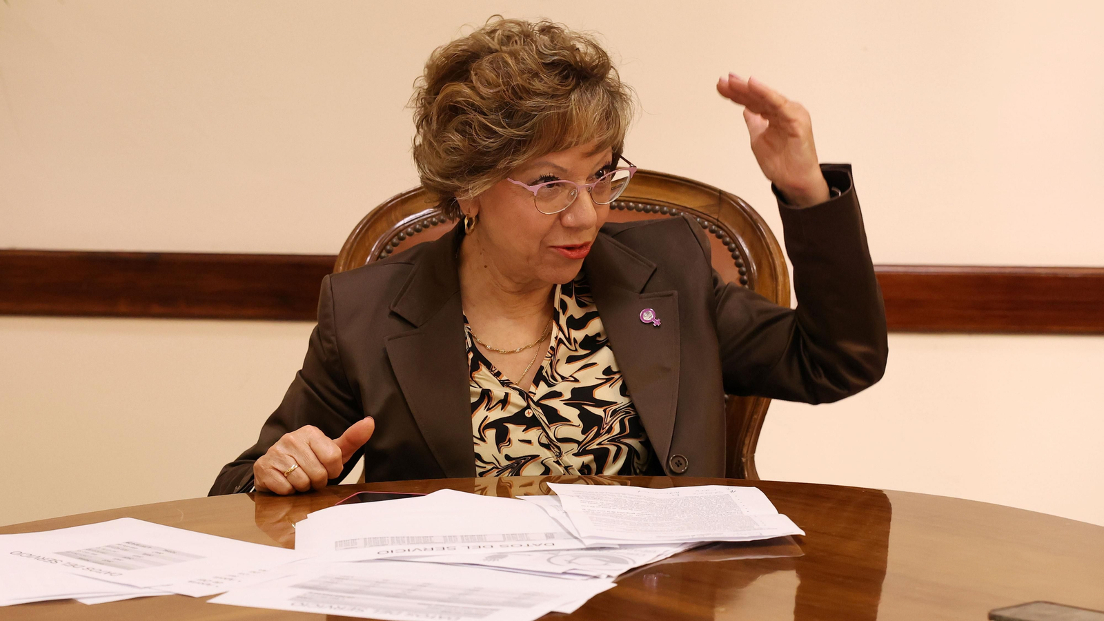La delegada de Acción Social, Carmen Collado, explica la situación del servicio de ayuda a domicilio en Jerez. La delegada de Acción Social, Carmen Collado, explica la situación del servicio de ayuda a domicilio en Jerez.