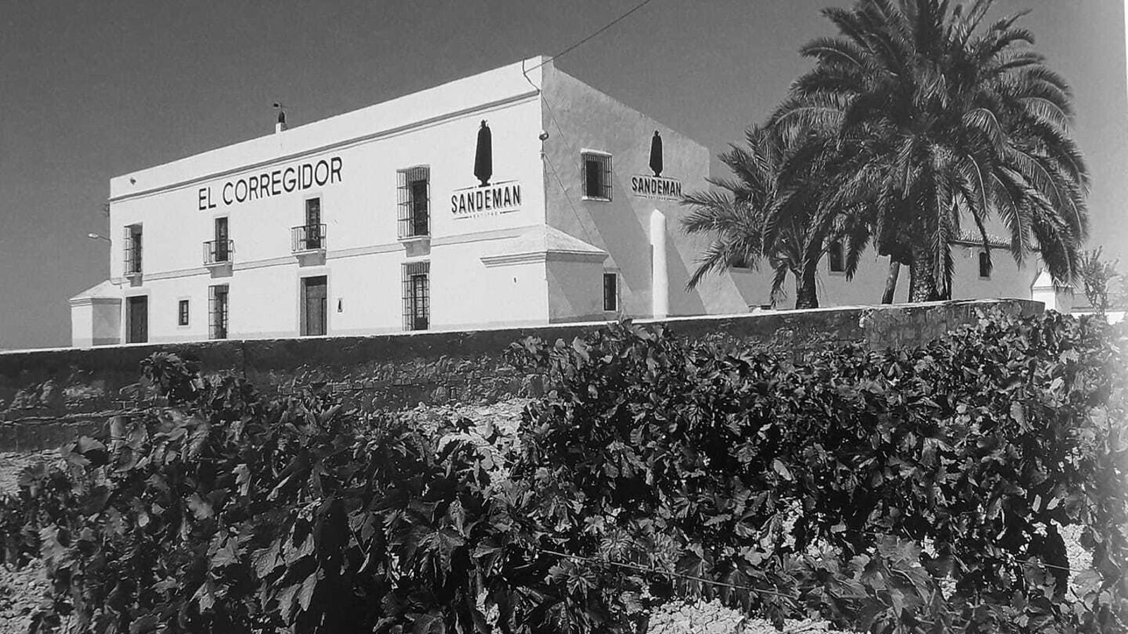 Viña El Corregidor.
