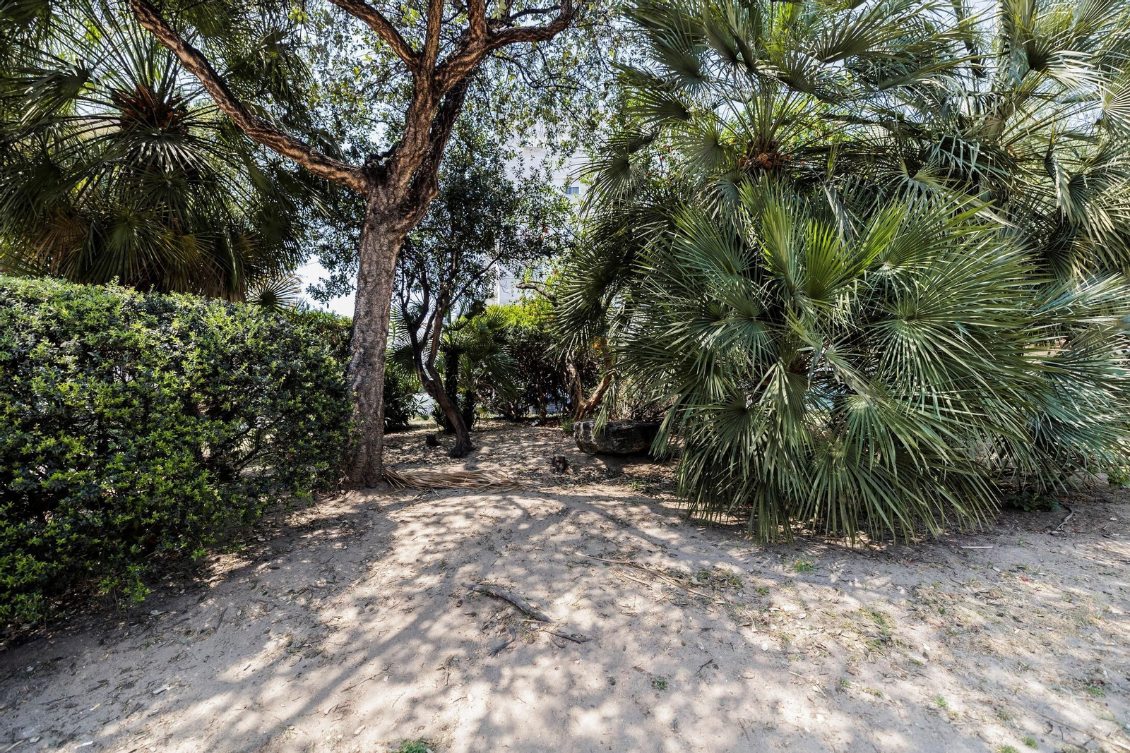 Las zonas verdes menos verdes de la ciudad de Cádiz