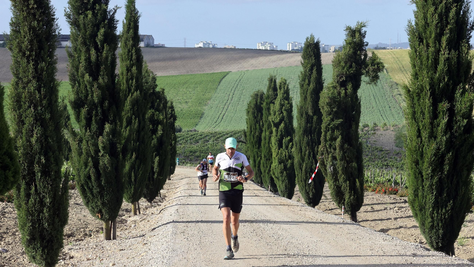 Búscate en la Sherry Maratón 2025 de Jerez (I)