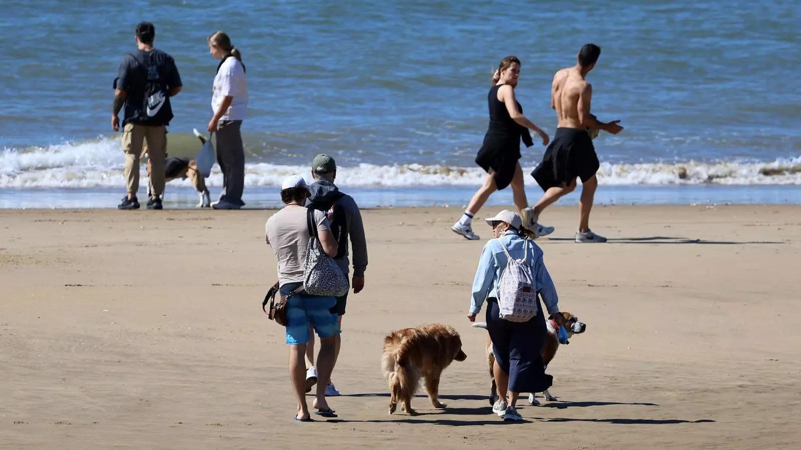 Varias personas disfrutan con sus mascotas del buen tiempo en las playas de Huelva.