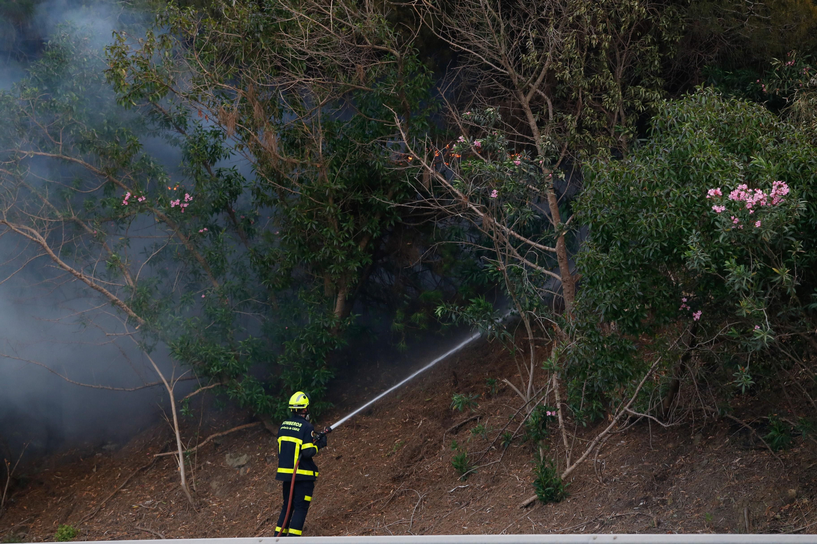 Las fotos del incendio de este viernes en Algeciras