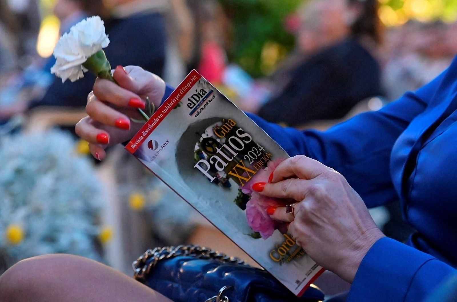 La presentación de la XX Guía de los Patios de Córdoba de 'El Día', en imágenes