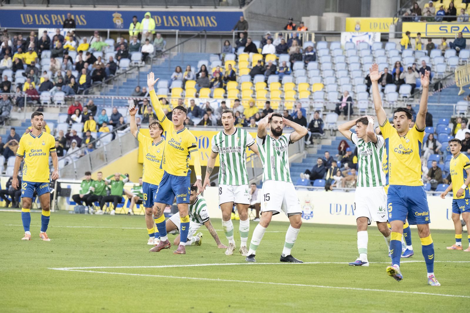 Las mejores fotos del triunfo del Córdoba CF ante Las Palmas