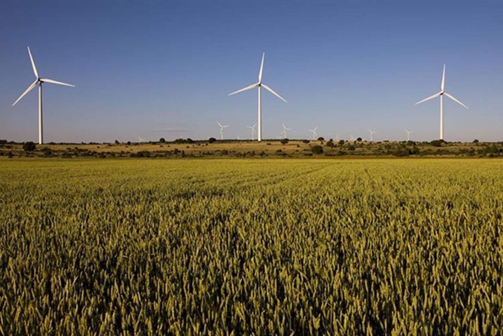 Parque eólico de Iberdrola en Hungría.