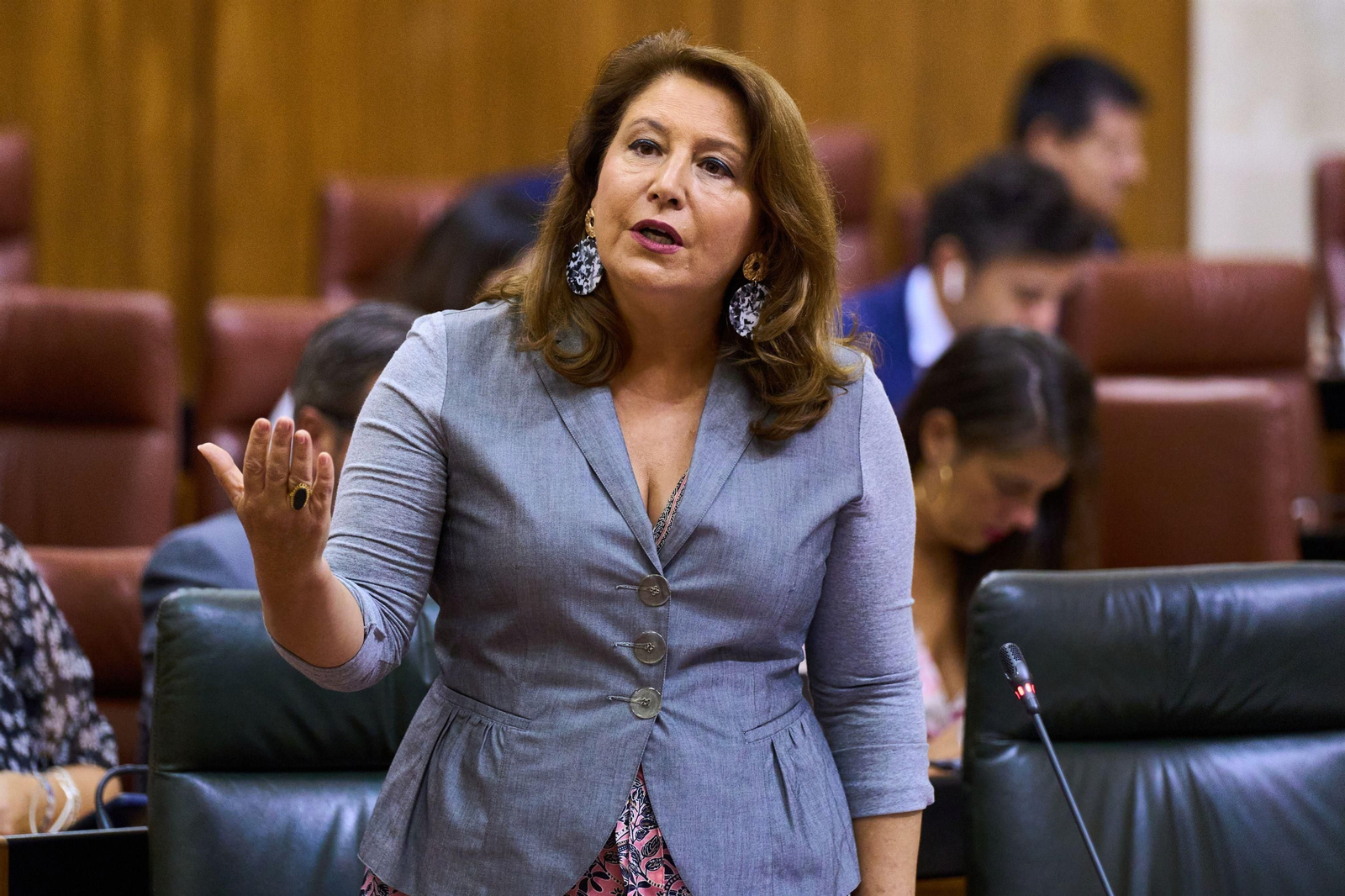 La consejera Carmen Crespo, en el Parlamento.