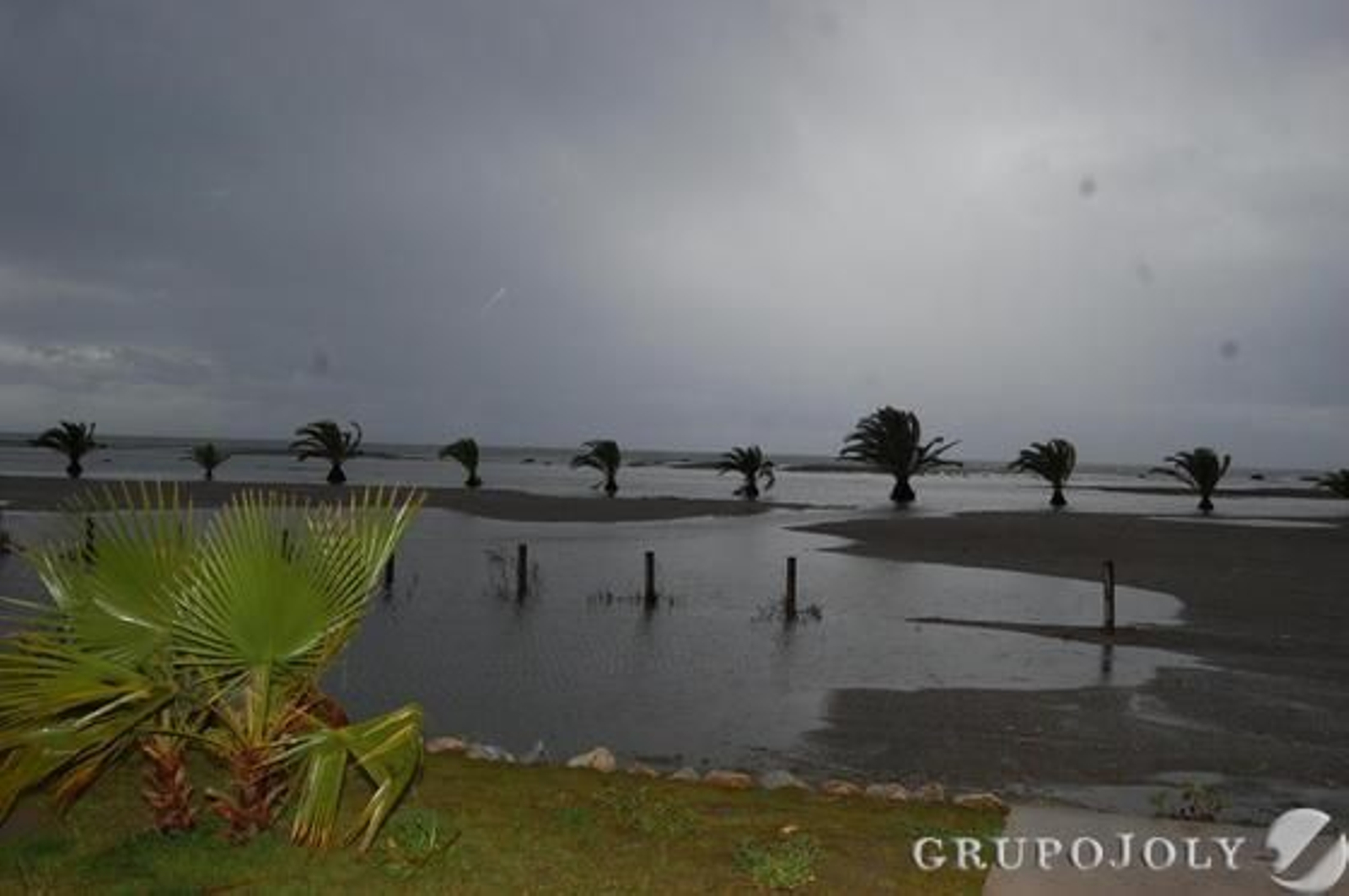 Foto: Rosa Fernandez