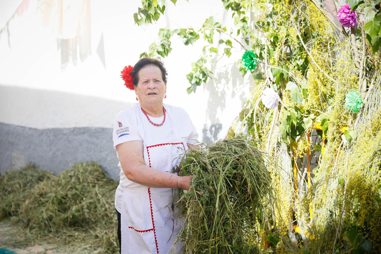 Así es la gran alfombra de serrín para que levite la Virgen de Fátima de Tíjola