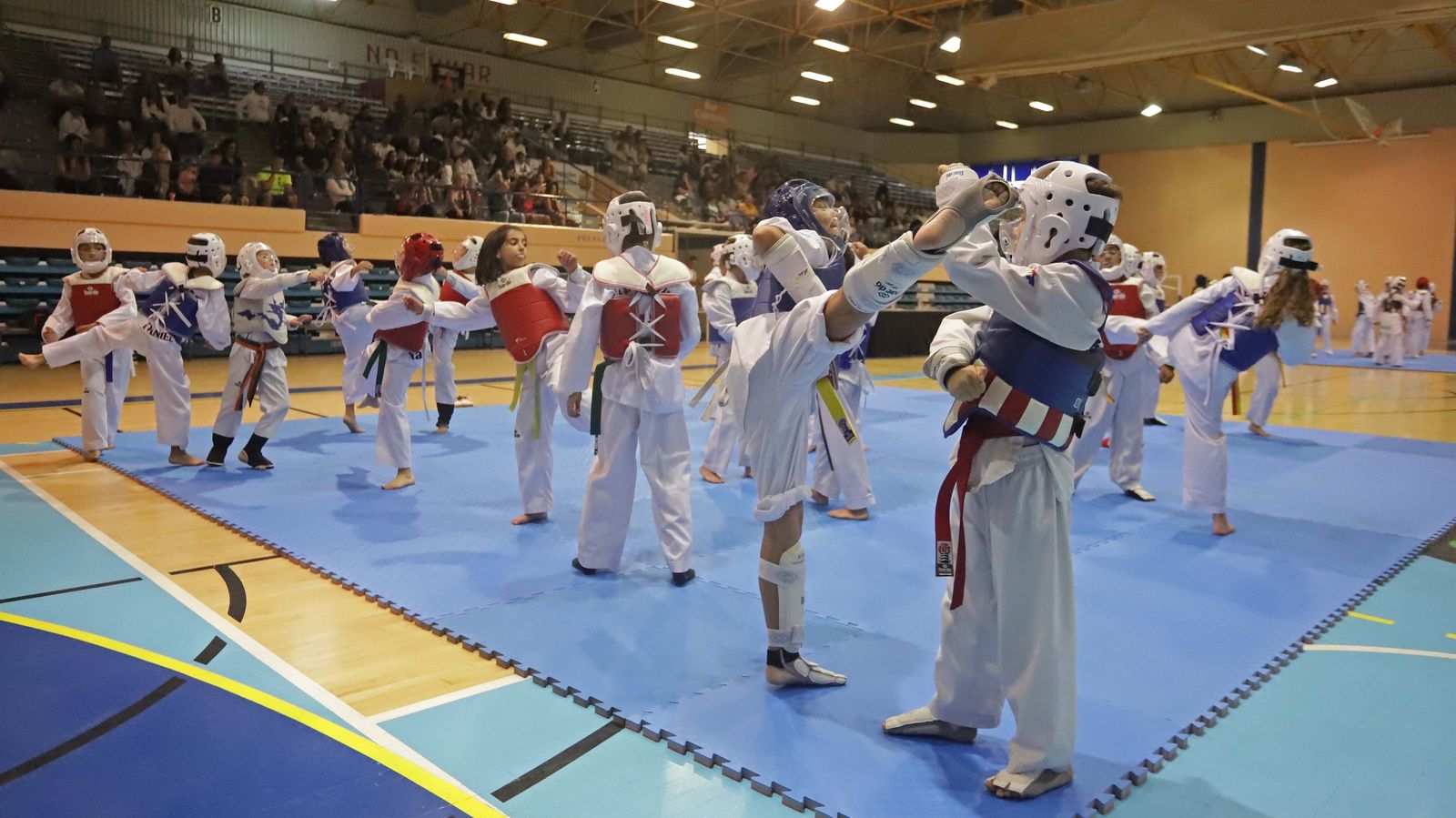 Fotos del encuentro "Campeonato Promoción Deporte Base" de Taekwondo en Algeciras