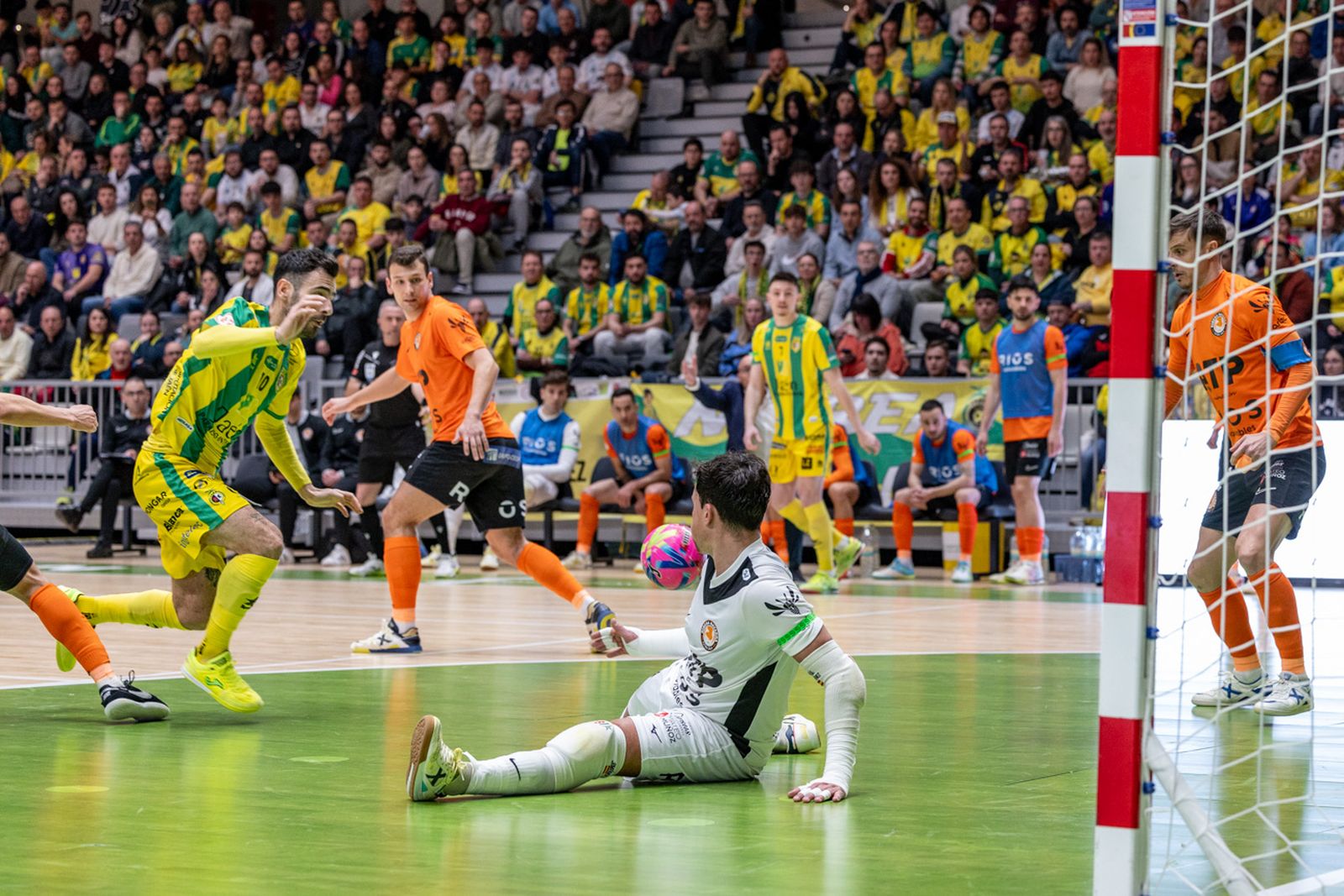 Las mejores imágenes del triunfo copero de Jaén Paraíso Interior frente a Ribera Navarra