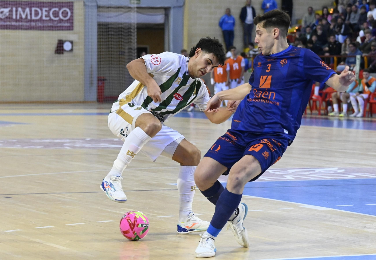 Las mejores fotos del ambiente en Vista Alegre para el Córdoba Futsal - Jaén