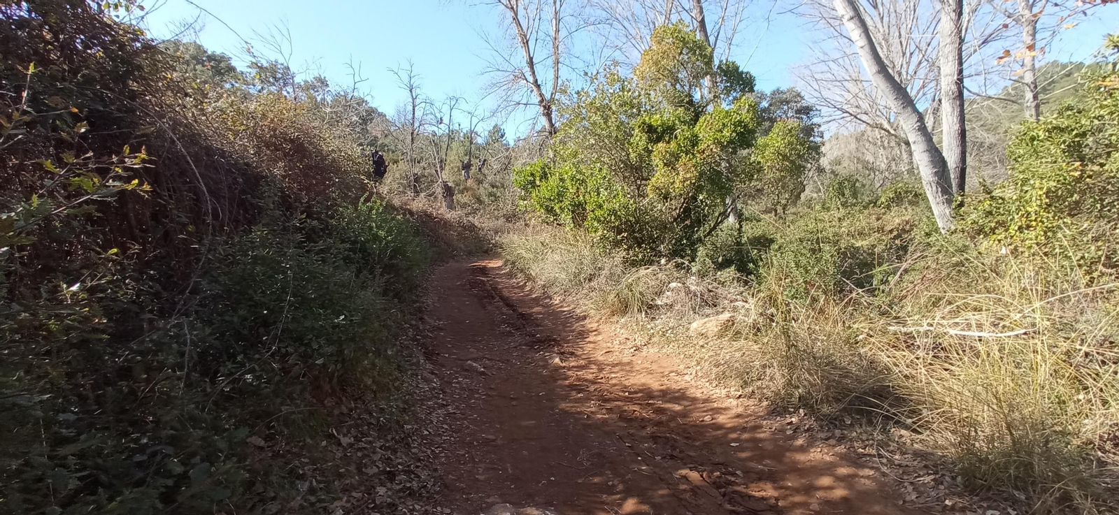 Las imágenes de la ruta de la cascada de Jollarancos y bosque de las letras