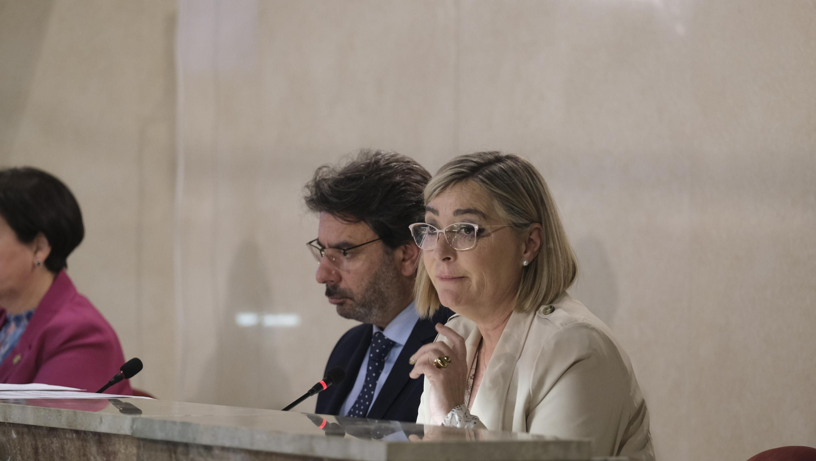 Imágenes del pleno ordinario del Ayuntamiento de Almería