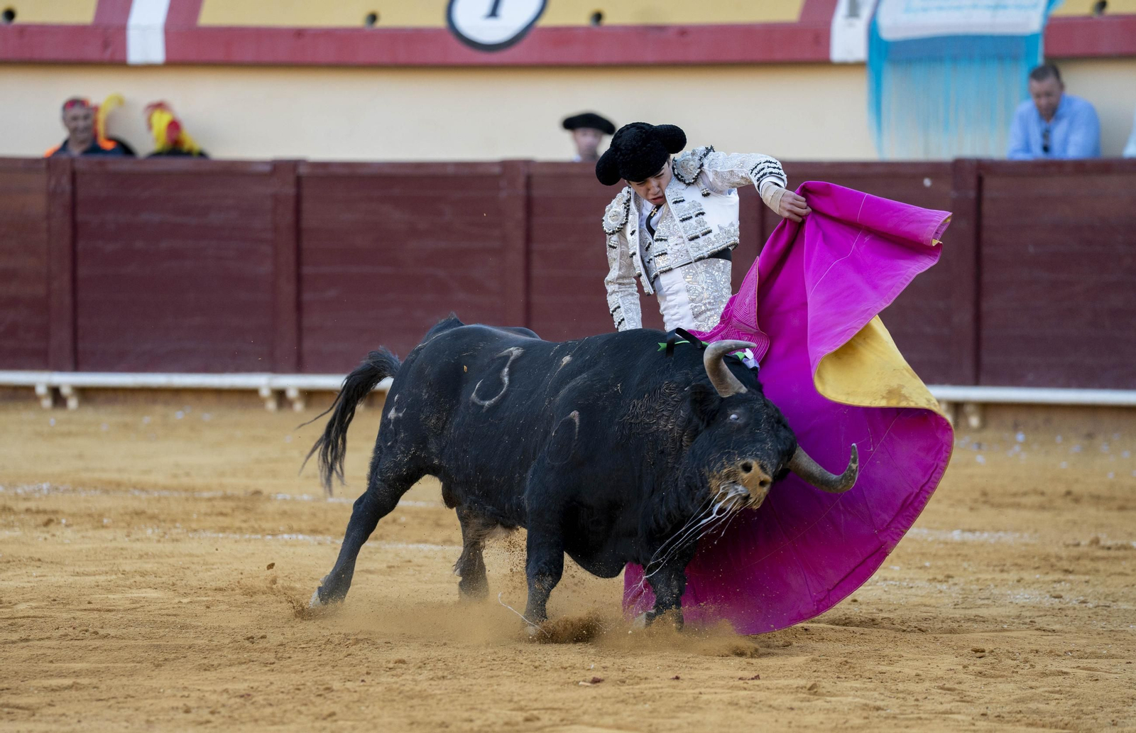 Las imágenes de los toros en Vera