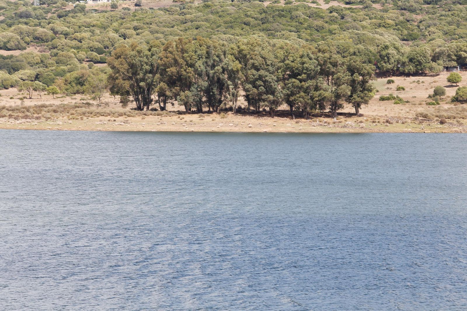Fotos del pantano de Charco Redondo: de la sequía al 59% de capacidad en solo un año