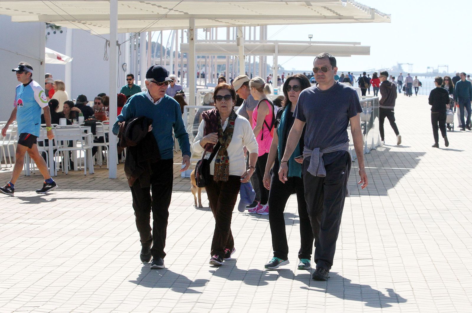 Ambiente primaveral en el día de Andalucía, en imágenes