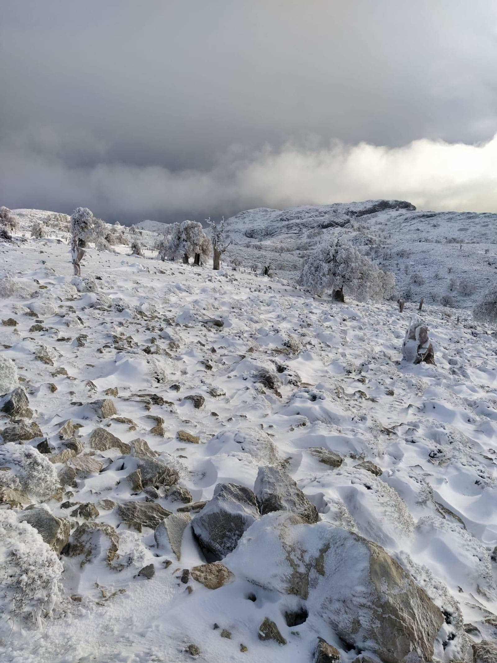 Fotos de la nieve en Ronda, en la subida al Torrecilla