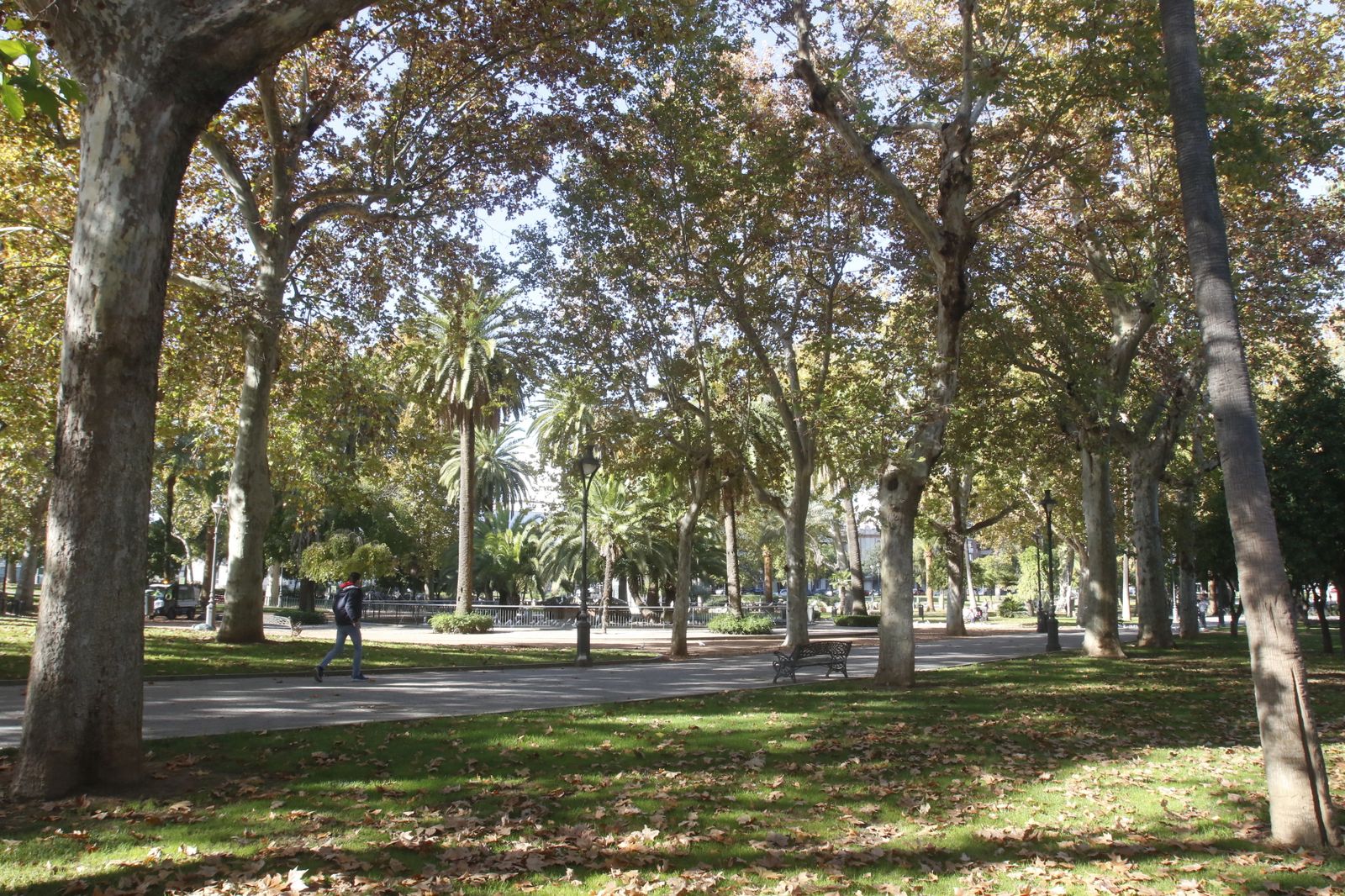 El otoño en Córdoba, en fotografías