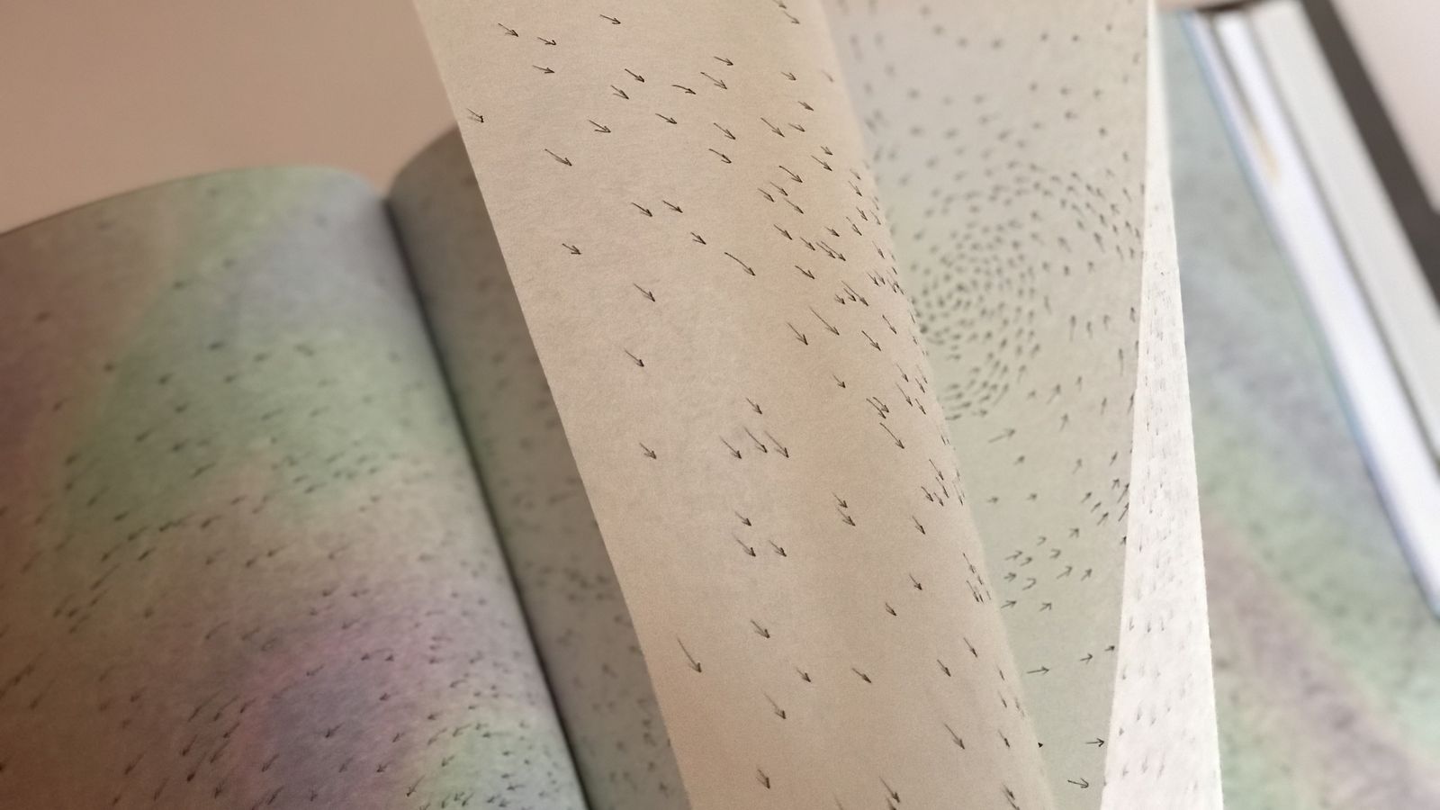 En el libro de artista de Ana Soler se combinan diferentes elementos gráficos, como dibujos, fotografías, grabados o litografías.