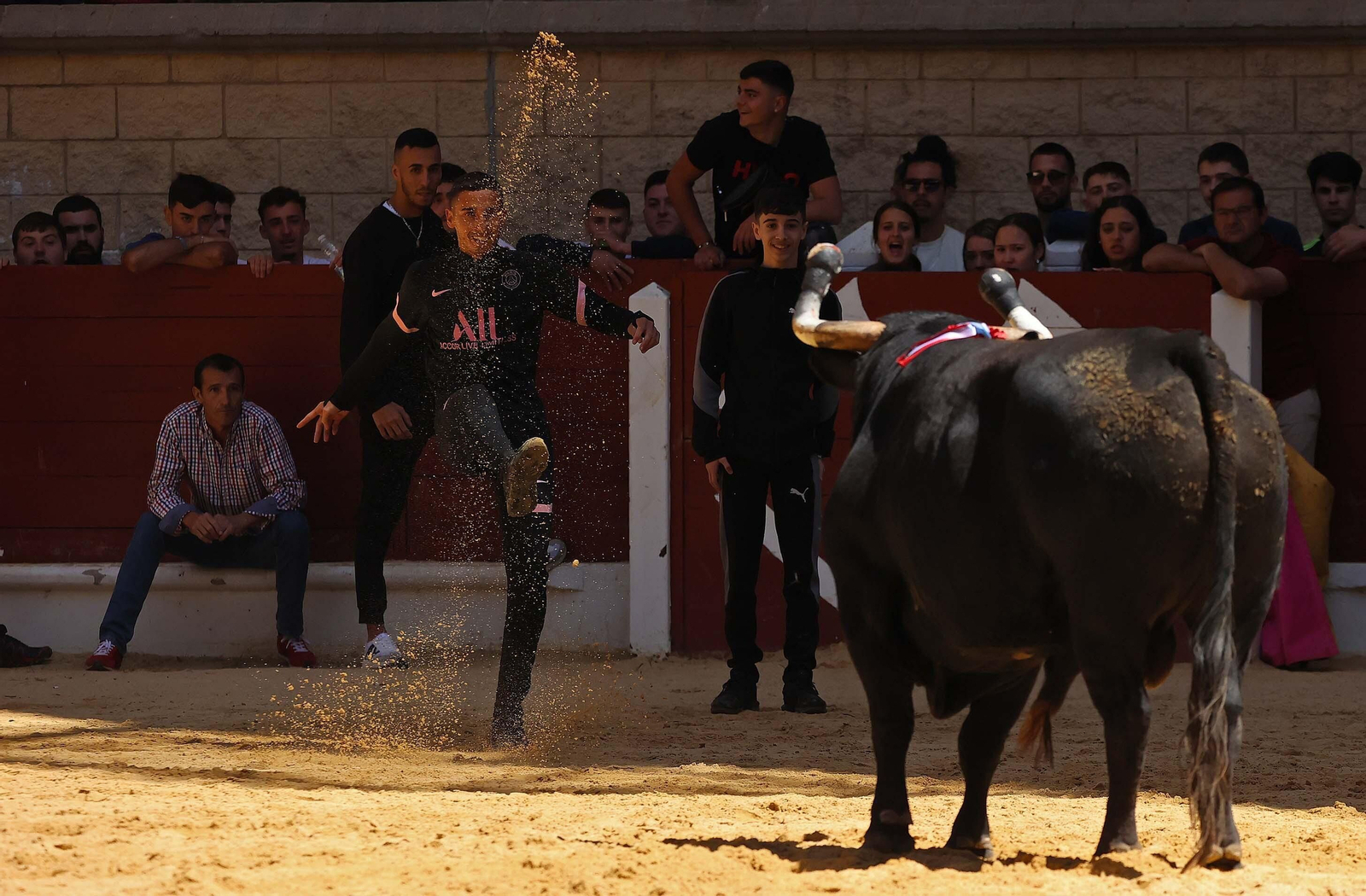 Las mejores fotos del Toro Embolao de Los Barrios 2024