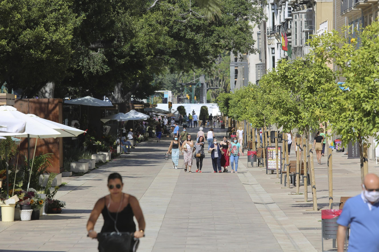 Las fotos de la Alameda Principal de Málaga Las fotos de la Alameda Principal de Málaga