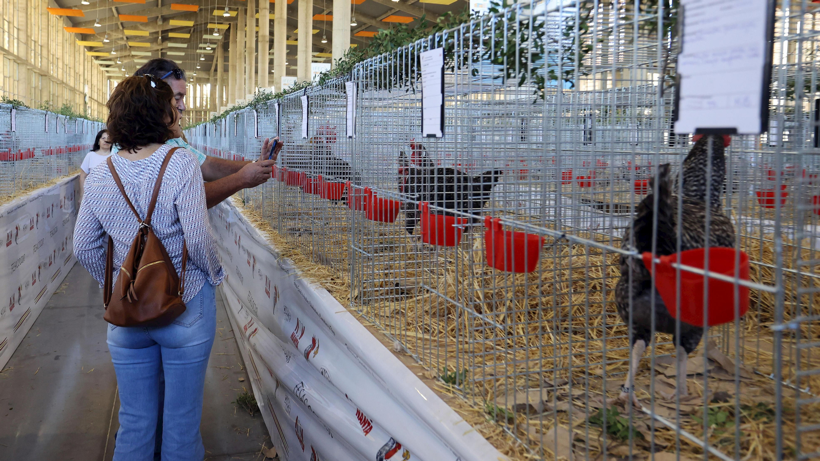 Gran afluencia de público en la clausura de Fegasur